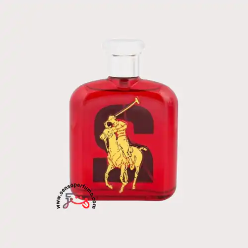 عطر ادکلن رالف لورن بیگ پونی مردانه ۲